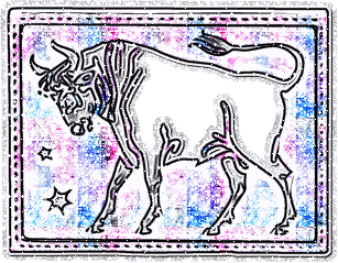 taureau